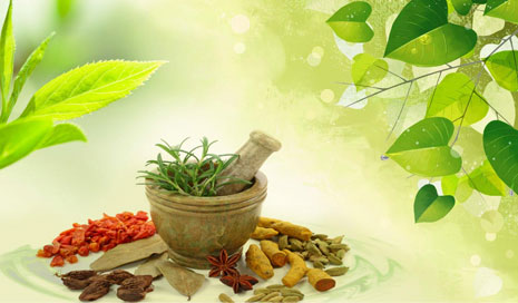 SS Healthcare Medical Tourism